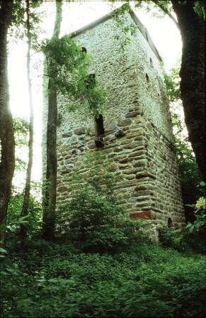 e51 Ruine Praberg