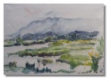g1984 Vorarlberg Rheintalklein1