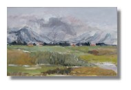 h 1984 Vorarlberg Rheintal aklein1